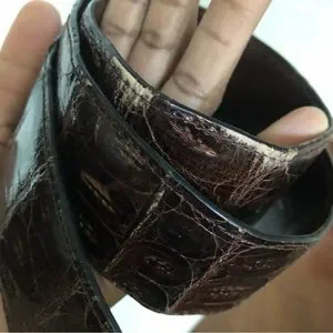 henri bendel | Accessories | Henri Bendel Brown Croc  display picture 2